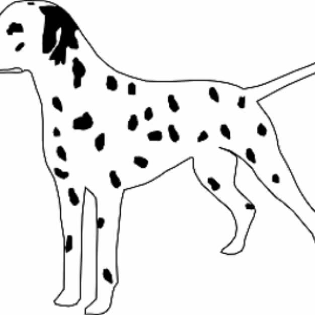 Dalmatian Dog with black spots in side view