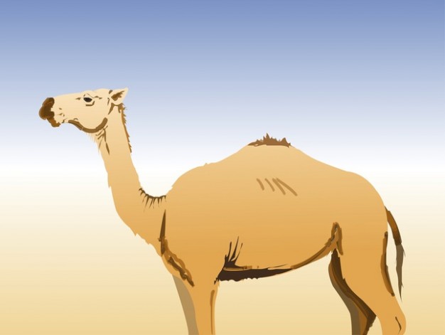 Desert animal Camel side view with desert and sky background vector illustration