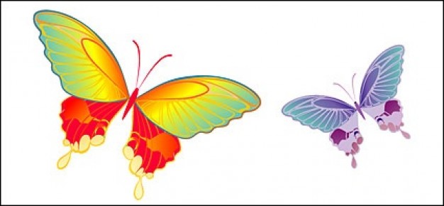 colorful Butterfly material