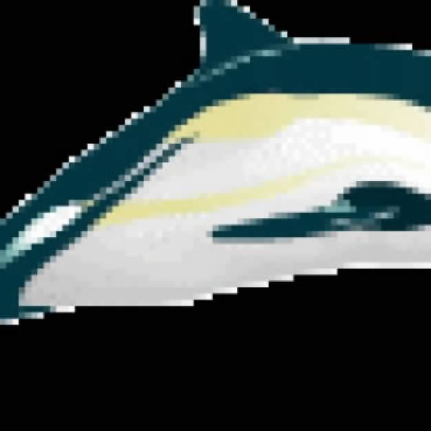 Dolphin clip art with blurry