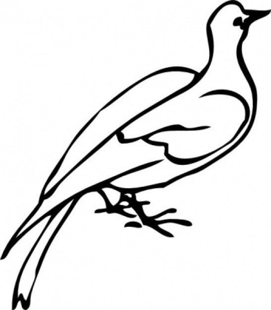 dove doodle clip art with White background