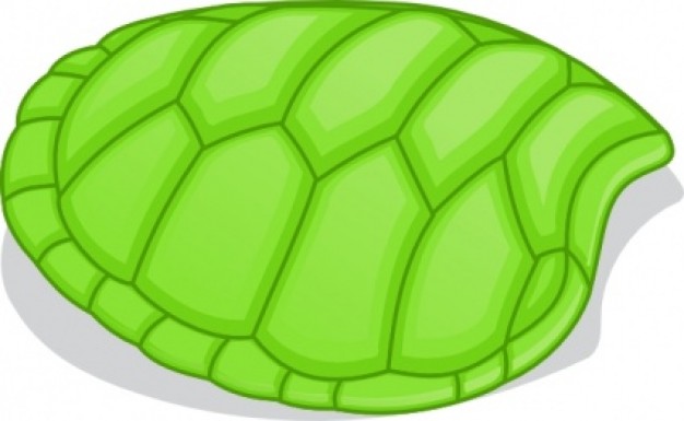  Green Turtle shell clip art