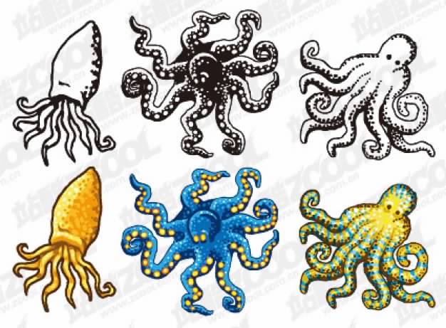 All kinds of six octopus material with white background