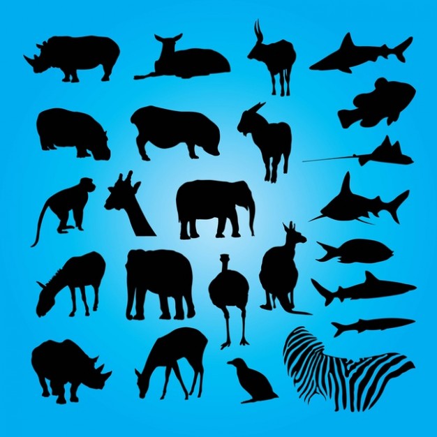 variety of Animals with water background