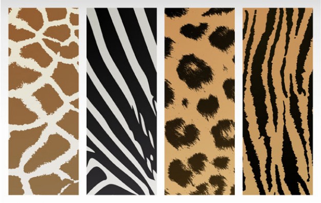 four animal shell texture pattern set