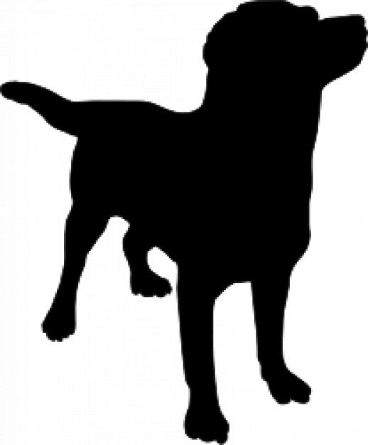 black Dog silhouette