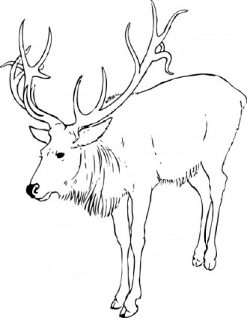 Reindeer Stag clip art with white background