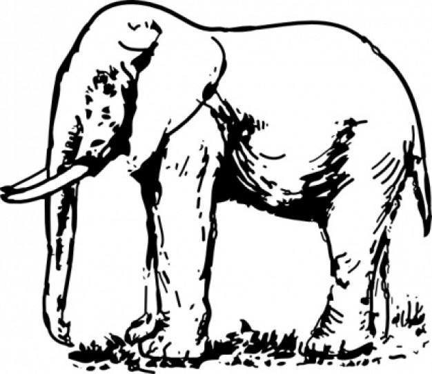 Elephant Drawing clip art in side view