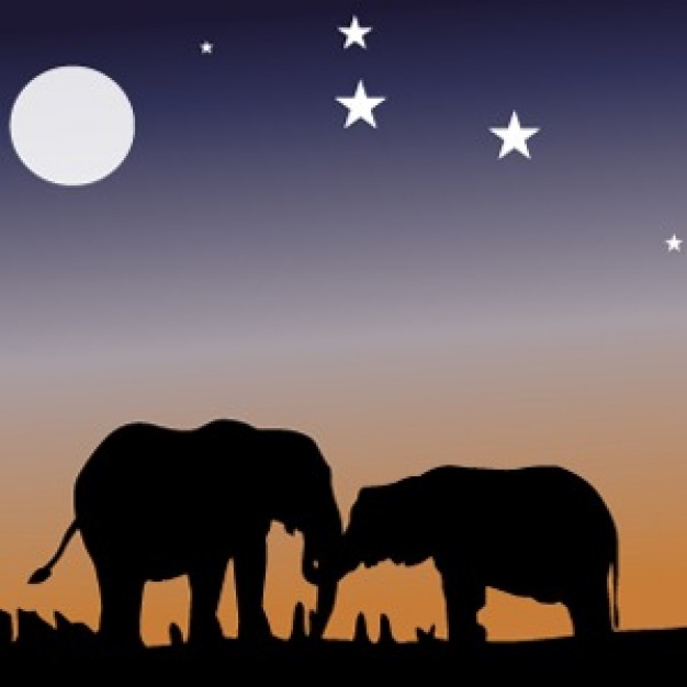 elephant pair of Night Vision View Of A Forest Vector with moon and star