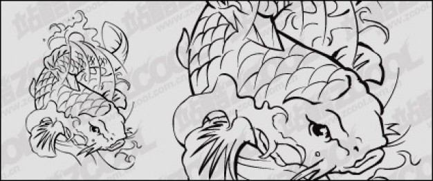 Carp logo material in line drawing | download Free Animal Vectors