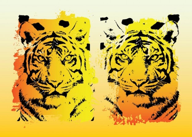 golden Tigers face Graphics