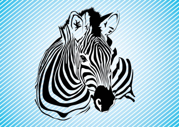 Zebra Graphics vector with blue twill background