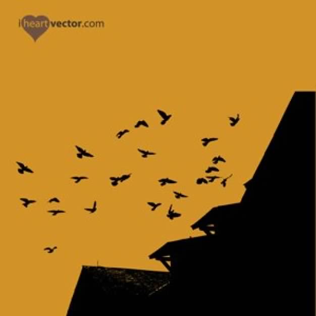 Flock Of Birds And Roof with yellow sky