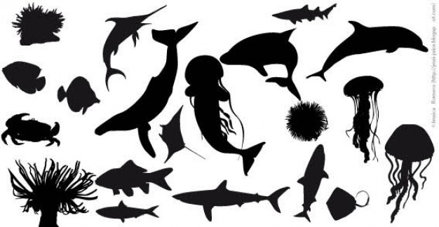 sea Fish Silhouettes with white background