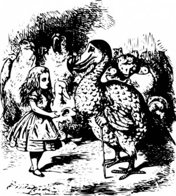 alice front a big bird in a hand drawn illustration of wonderland