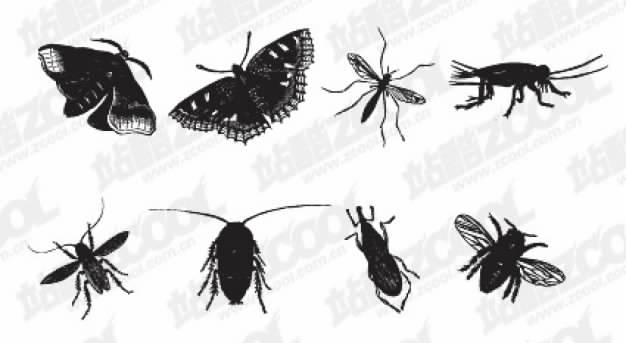 Black and white insect material like bug butterfly