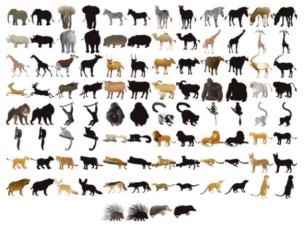 fifty models of animals and silhouettes vector material