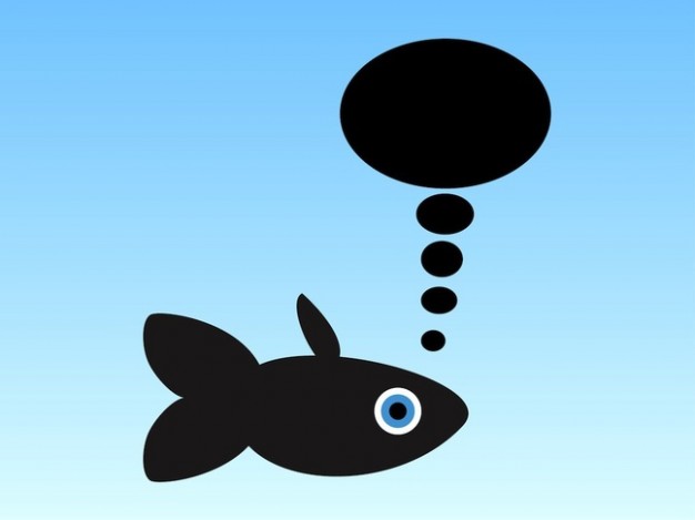 fish aquatic animal Talking with bubbles in blue water
