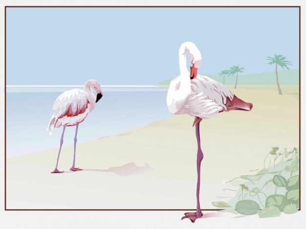 Flamingo pair sitting at beach Vector