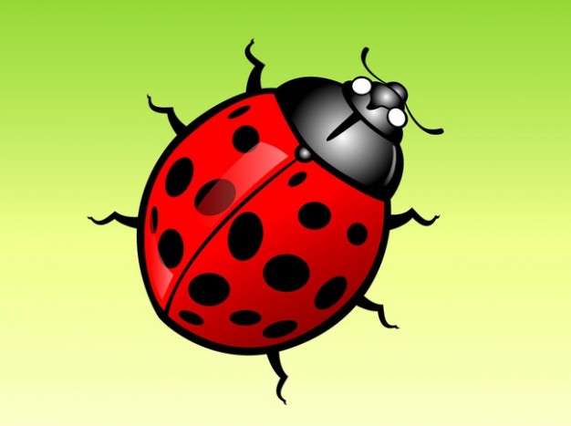 Ladybug crawling cartoon vector with green background
