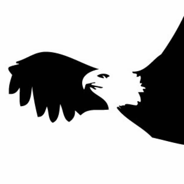 flying Bald Eagle Silhouette with white head in side view
