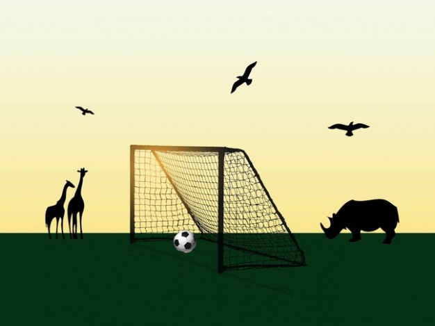 Football in Africa animals field at the sunset