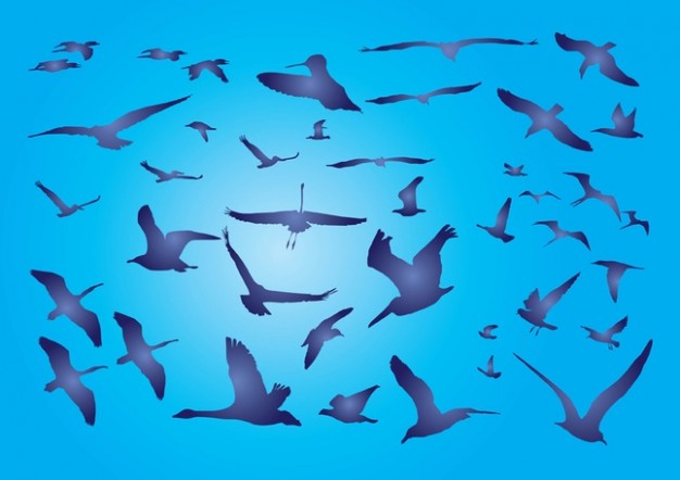 Free Birds flying over blue sky