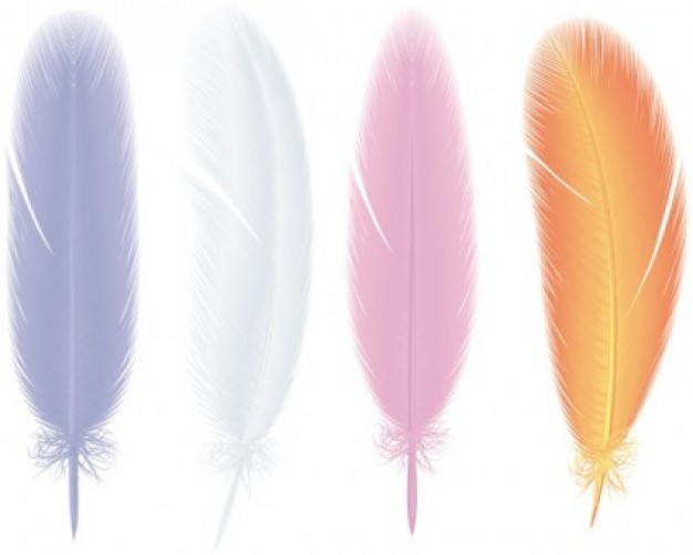 free colorful misc feathers in front view vector
