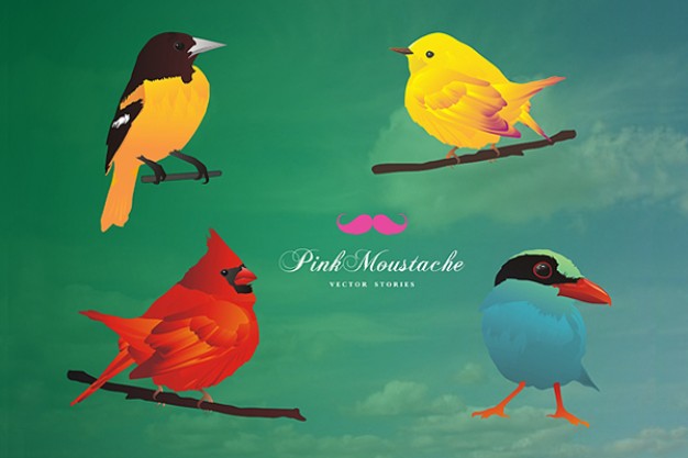 free cute birds vector illustration with green background