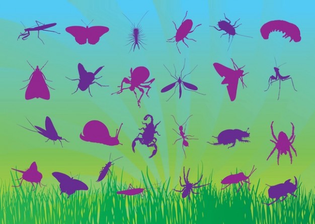 Free Insects Vectors over green background