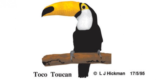 Free Toucan Bird standing on stick Vector Image