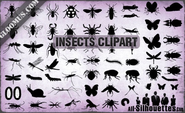 Free Vector Insects Silhouettes like fly butterfly ladybug snail