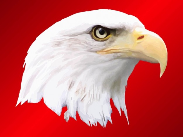 american aquarelle Bald eagle with heroic eyesight