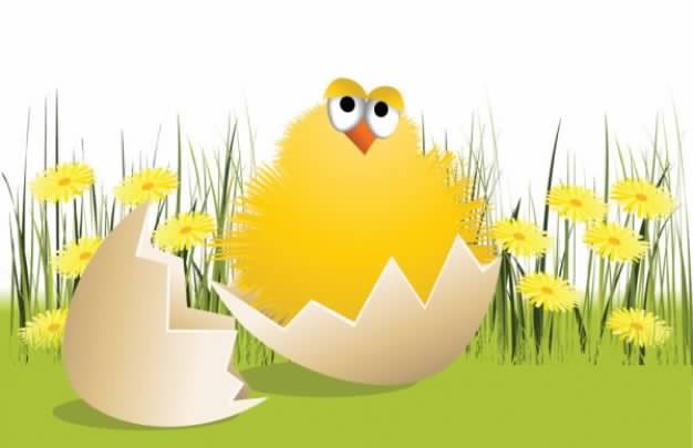 chicks break the Cartoon shell with grass background