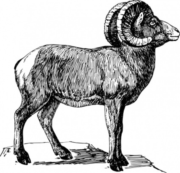 Bighorn silhouette with backward-curving horn clip art