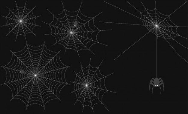 Spider hunting Web Set