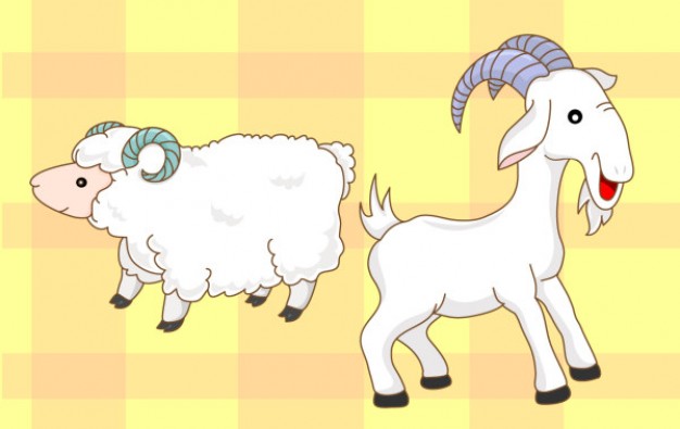 Goat and Sheep Cartoon in white