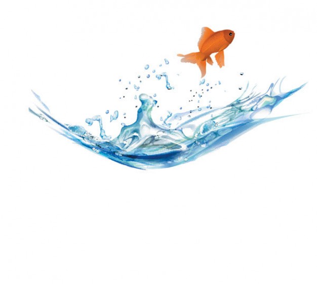 Goldfish jumping over water surface Vector