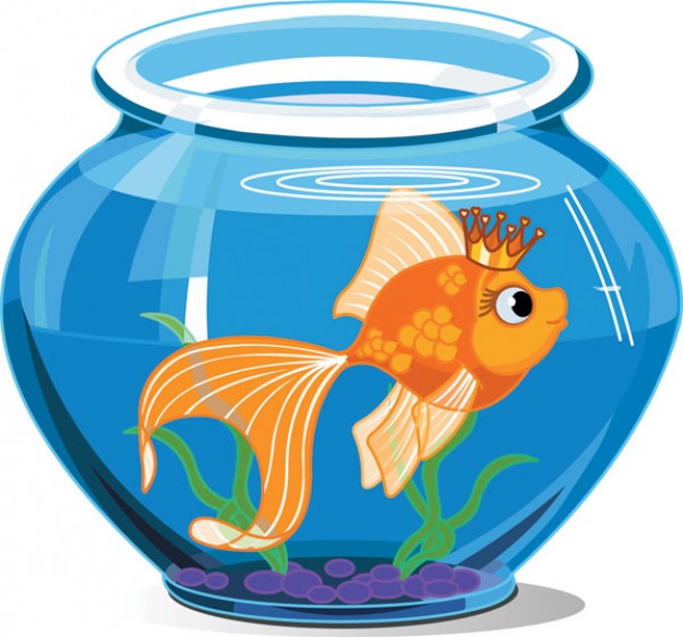 Goldfish swimming in blue fishbowl vector material