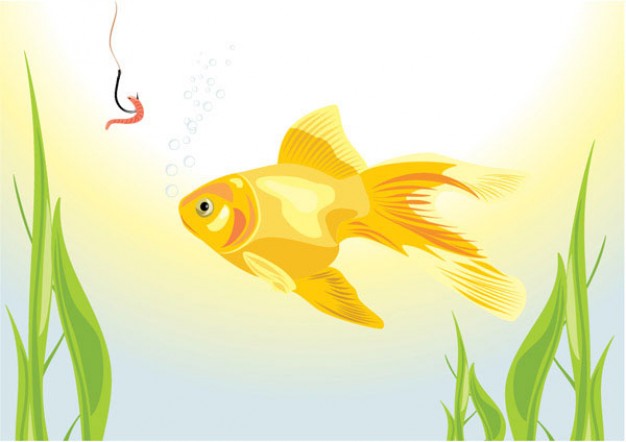 goldfish watching out a hook with a worm