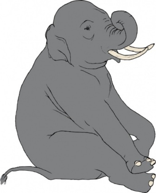gray sad elephant sitting clip art with White background