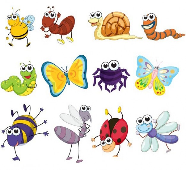 colorful cute cartoon insects - animal vectors pack