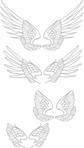 handmade wings set with White background