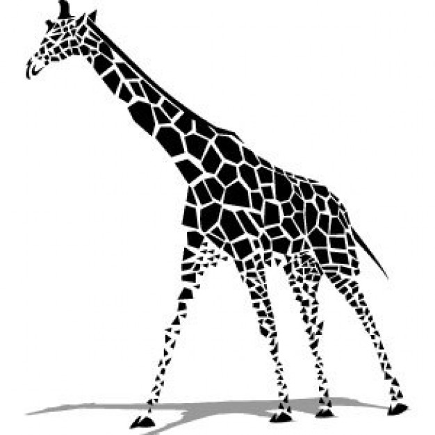 black white Giraffe with inverted reflection in floor