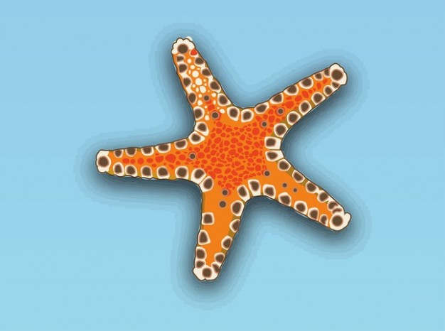  sea animal Starfish vector with blue background