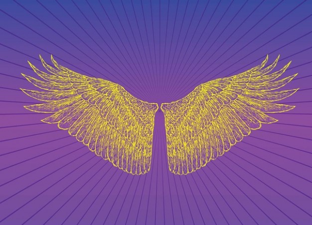 Heaven Wings Vector with radiant background