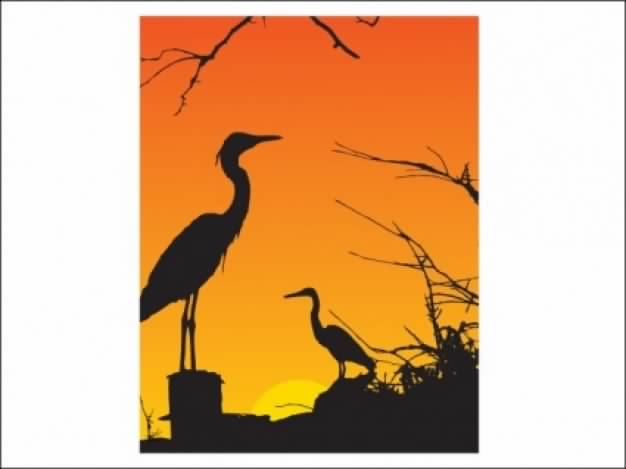 herons and orange sky with sunset background