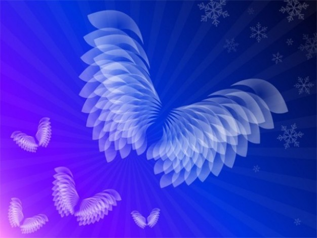 high quality creative wings vector with abstract background
