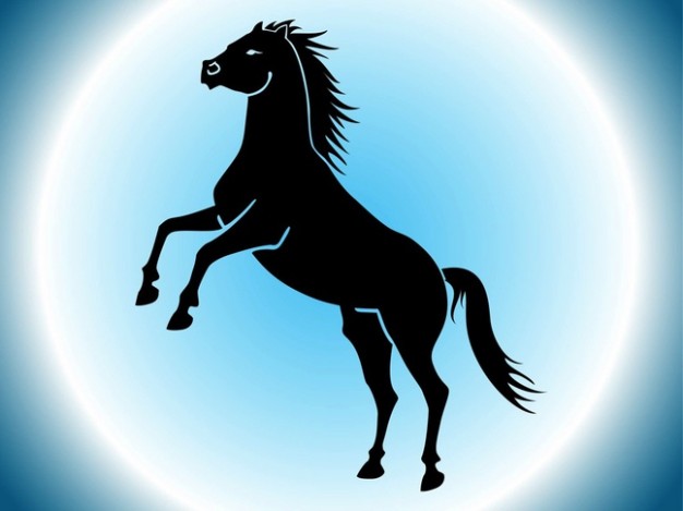 Wild animals horse back legs with blue nimbus