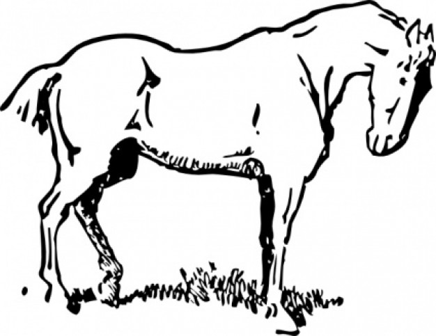 horse in side view clip art